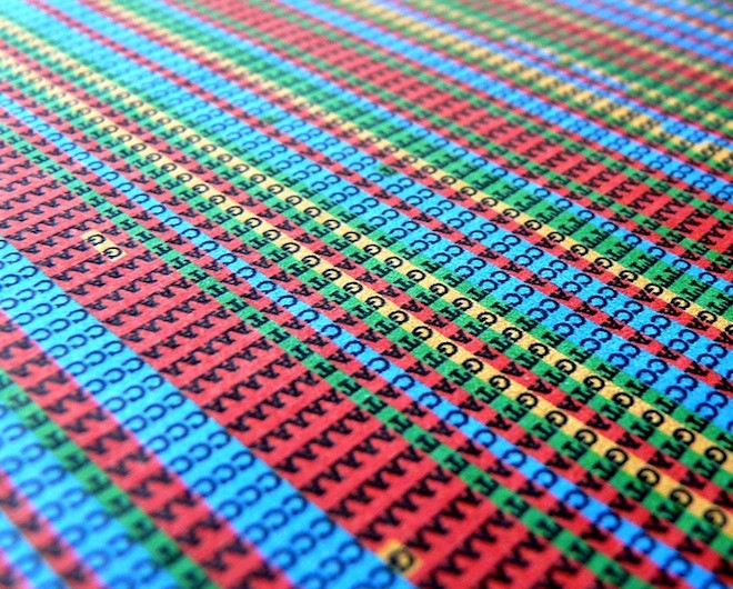 Genom-baserede analyser og diagnostiske metoder som værktøj i Arboretets træsamling og forskning