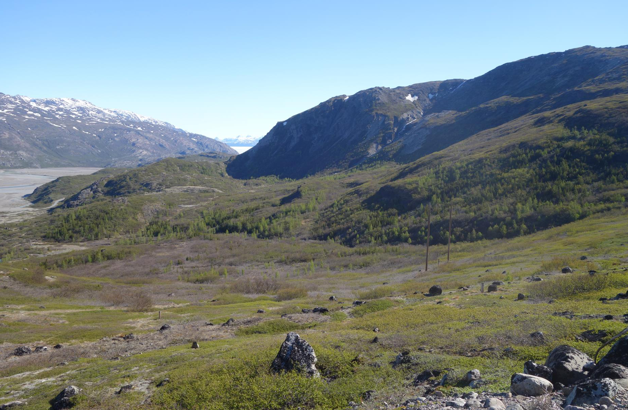 Det Grønlandske Arboret IV – komplettering af registreringer